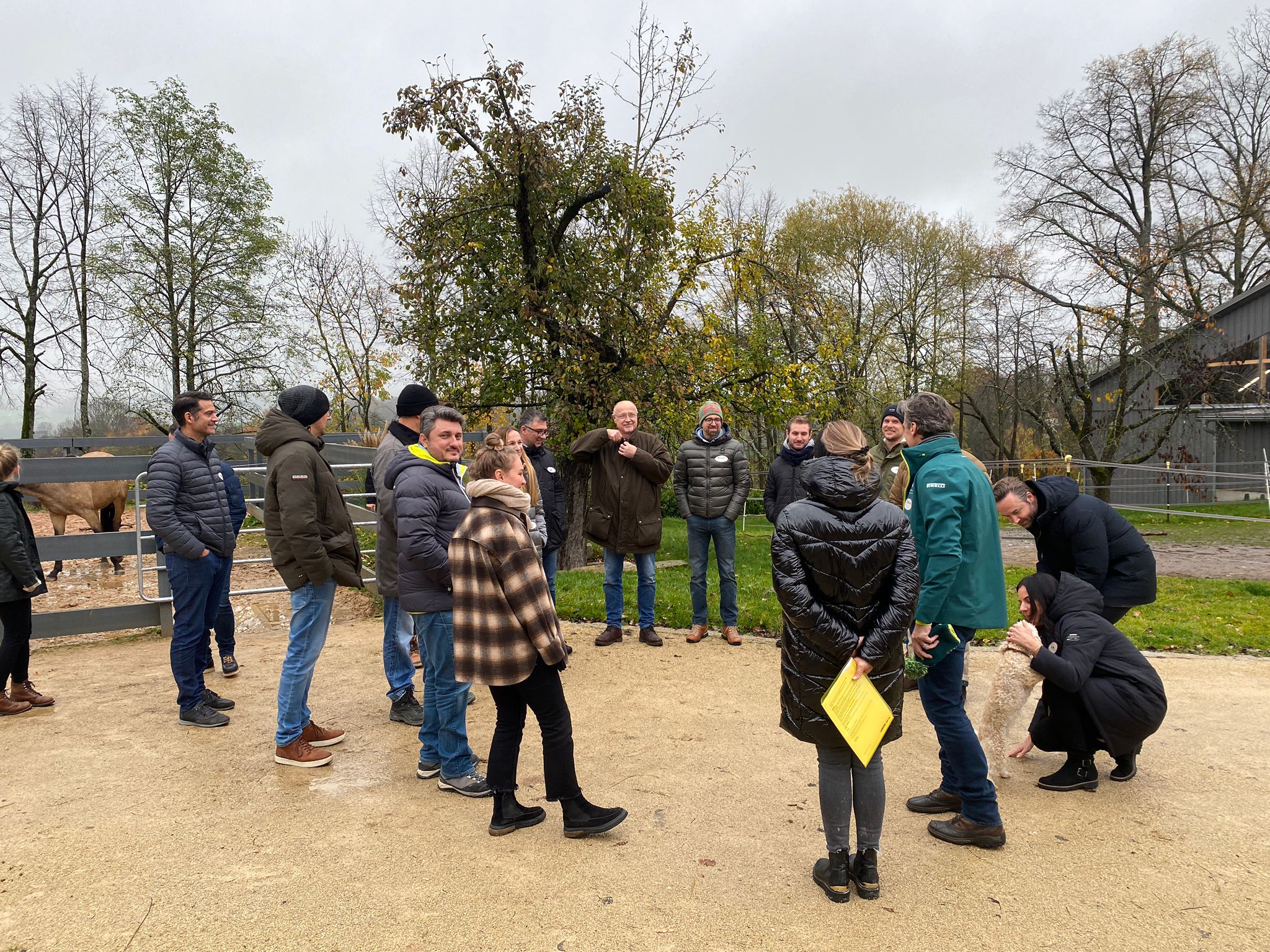 Pferdegestütztes Coaching Coaching mit Pferd & Mensch